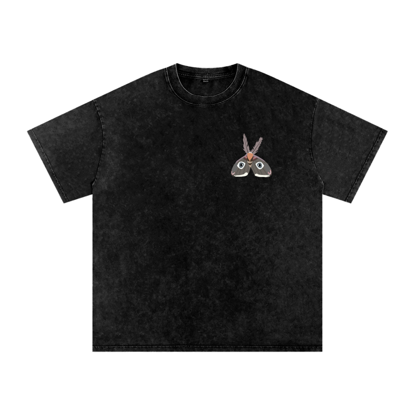 “this is private-(back), logo-(front)" Snow Washed Oversized Cotton T-Shirt