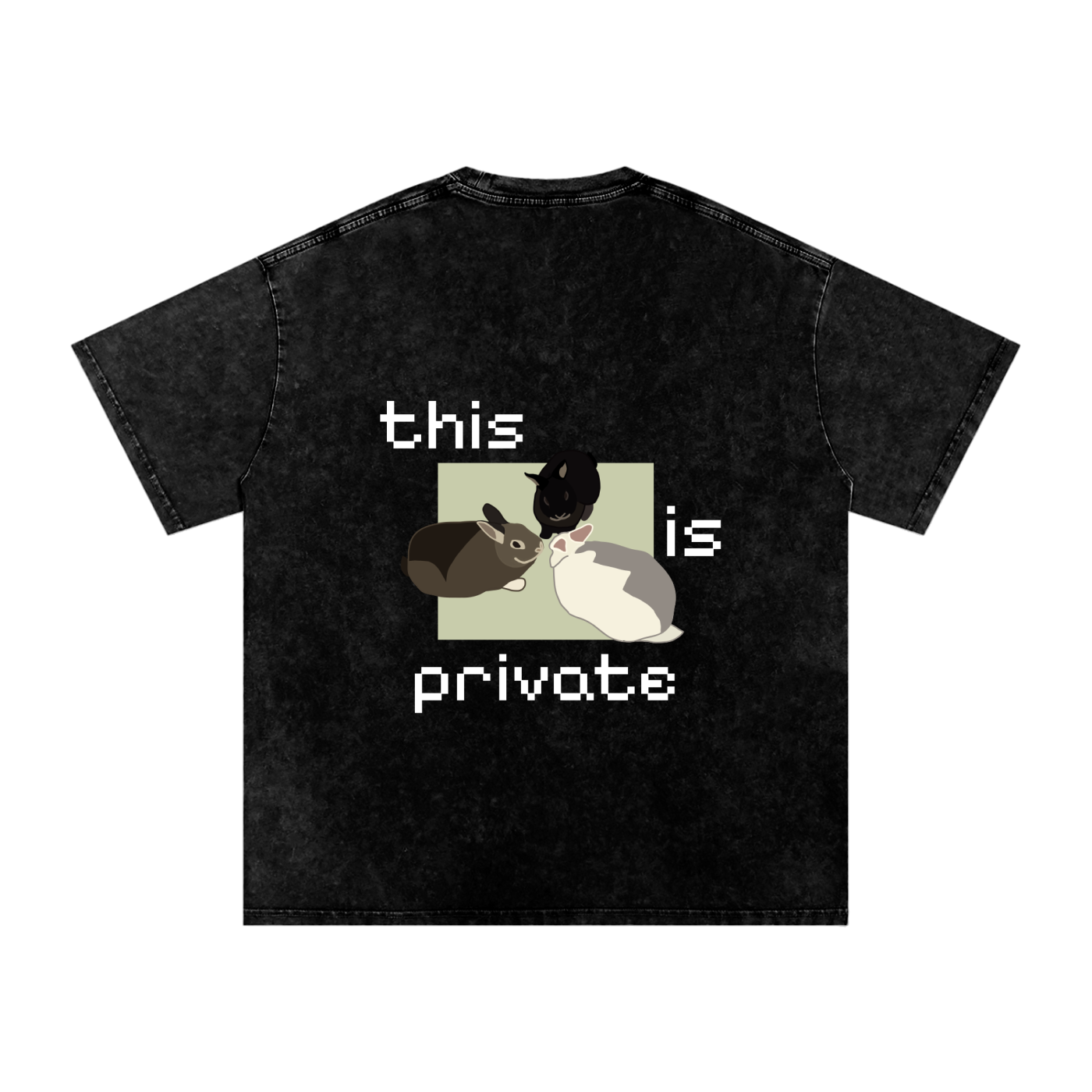 “this is private-(back), logo-(front)" Snow Washed Oversized Cotton T-Shirt
